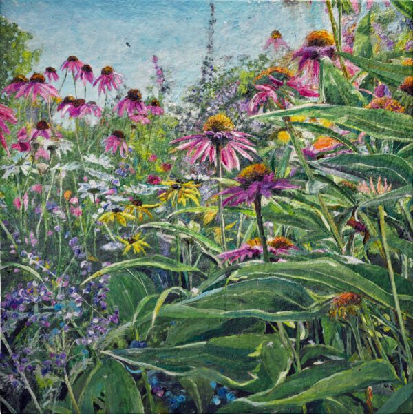 Coneflowers I