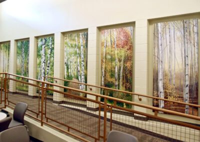 Transitions (2014). Six 90 x 40 inch paintings of the state tree, the white birch. Commissioned by the State of New Hampshire and the New Hampshire Council on the Arts.