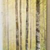 A painting of Early Spring Morning, Birch Trees 45 x 20 x 3 inches in the woods.