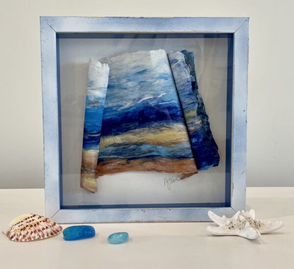 A framed piece of art with seashells and seaweed.