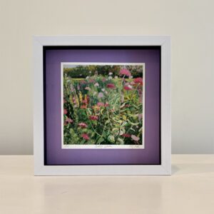Cutting Garden, 9 x 9 x 2 inches light purple mat, white shadow box frame, 65.00.