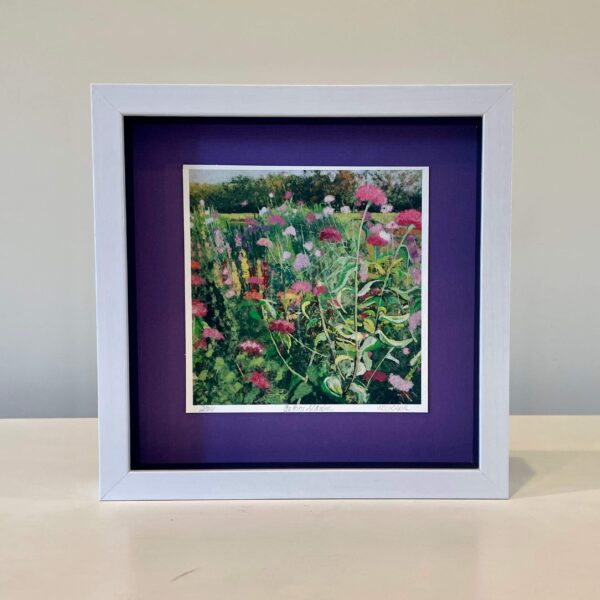 Cutting Garden print, 9 x 9 x 2 inches, deep purple mat, framed in a white shadows box.